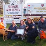 Ardmore Animal Hospital