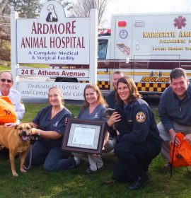 Ardmore Animal Hospital