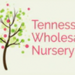 Tennessee Wholesale Nursery LLC Tennessee Wholesale Nursery LLC